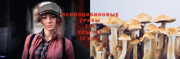 соль курить ск Алексин