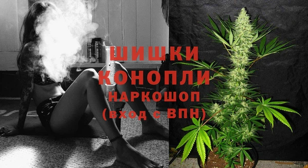 спайс Алзамай