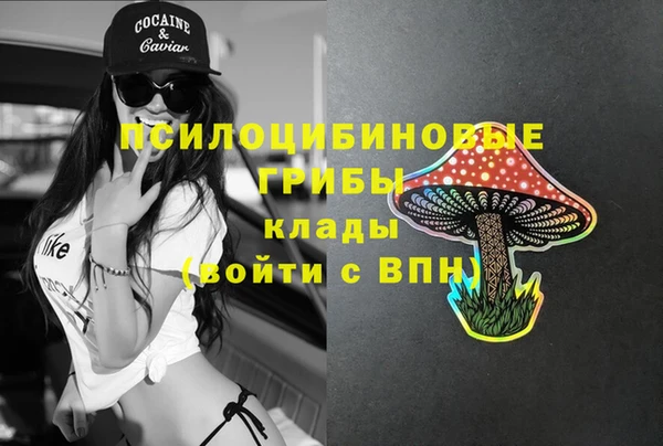 МДМА Алексеевка