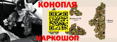 шишки Изобильный