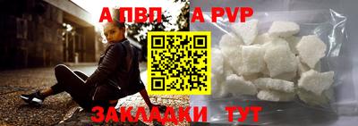 шишки Изобильный
