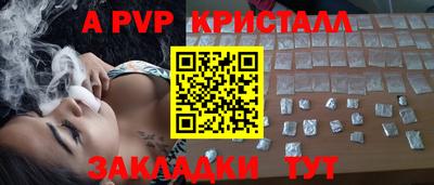 шишки Изобильный