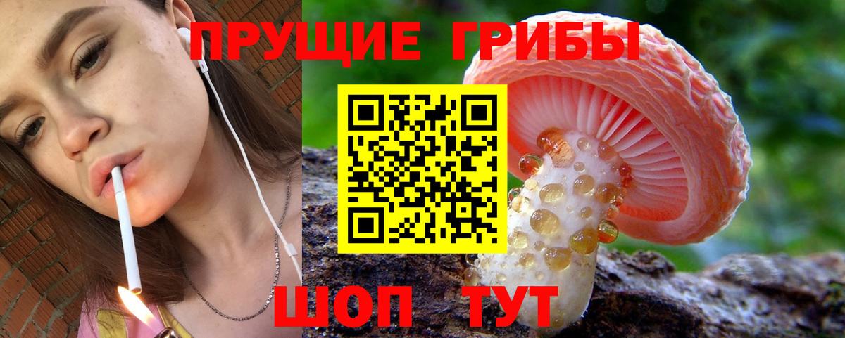 Псилоцибиновые грибы MAGIC MUSHROOMS  Вход с VPN  Саянск  Псилоцибиновые грибы мицелий 